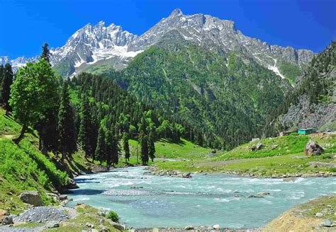 Countryside Kashmir Tour & Travel